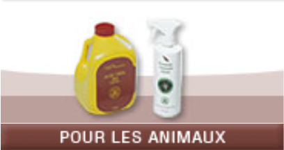 entretien_menager_aloes