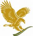 aigle